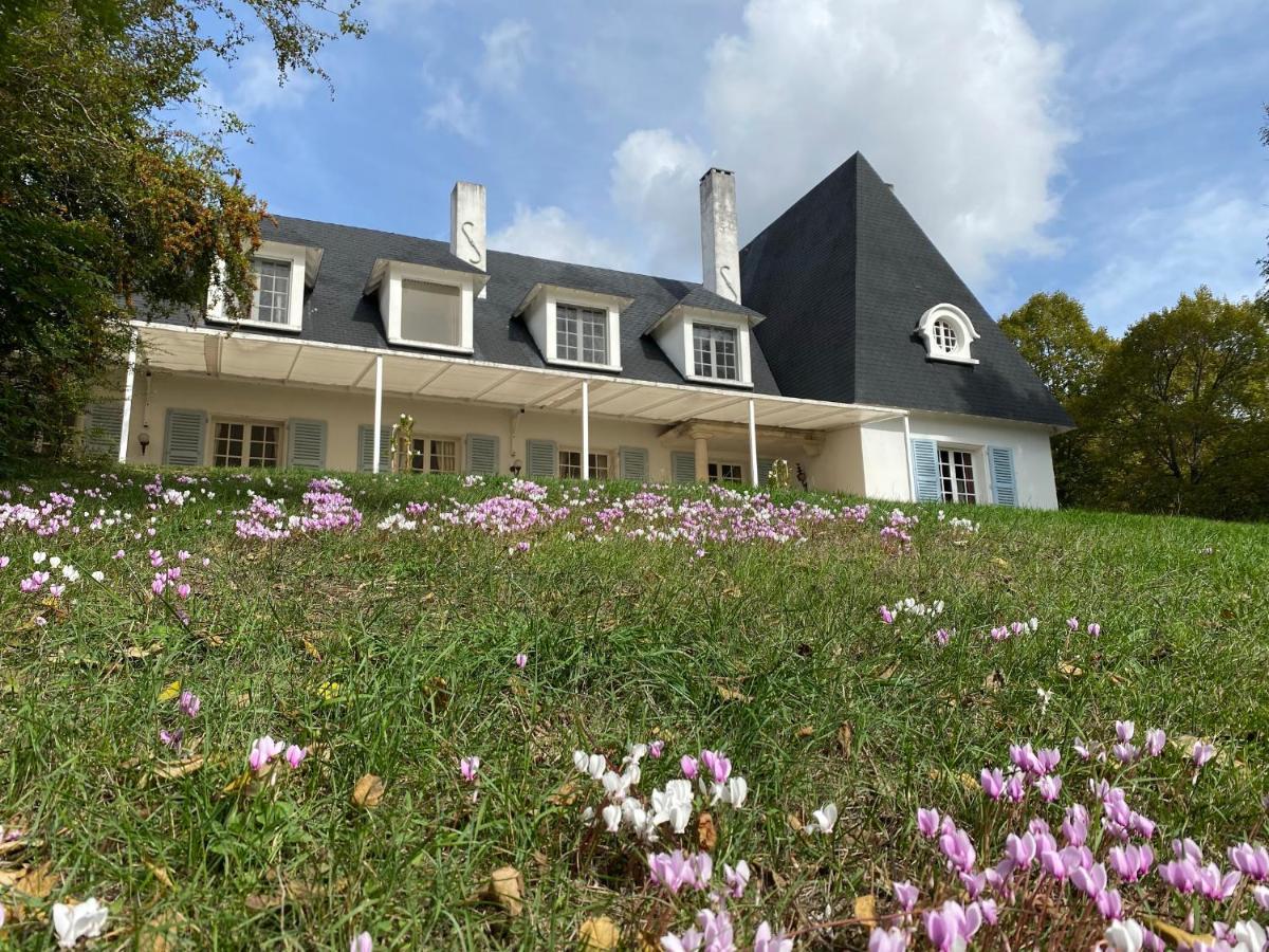 Manoir Et Appartements Avec Piscine Au Domaine De Bize Mirepoix Мірпуа Екстер'єр фото