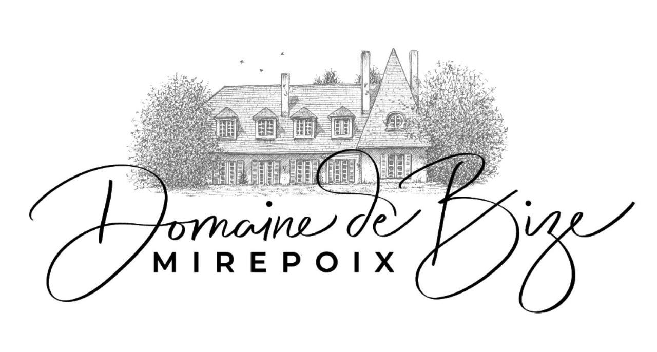 Manoir Et Appartements Avec Piscine Au Domaine De Bize Mirepoix Мірпуа Екстер'єр фото